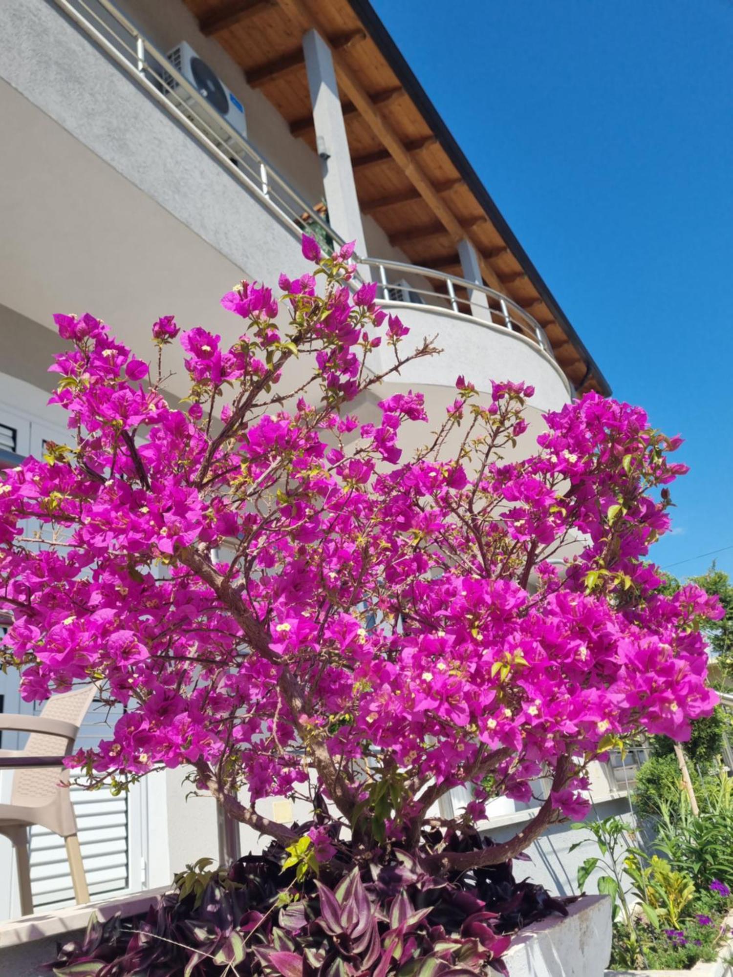 Vila Soleil Vlorë エクステリア 写真