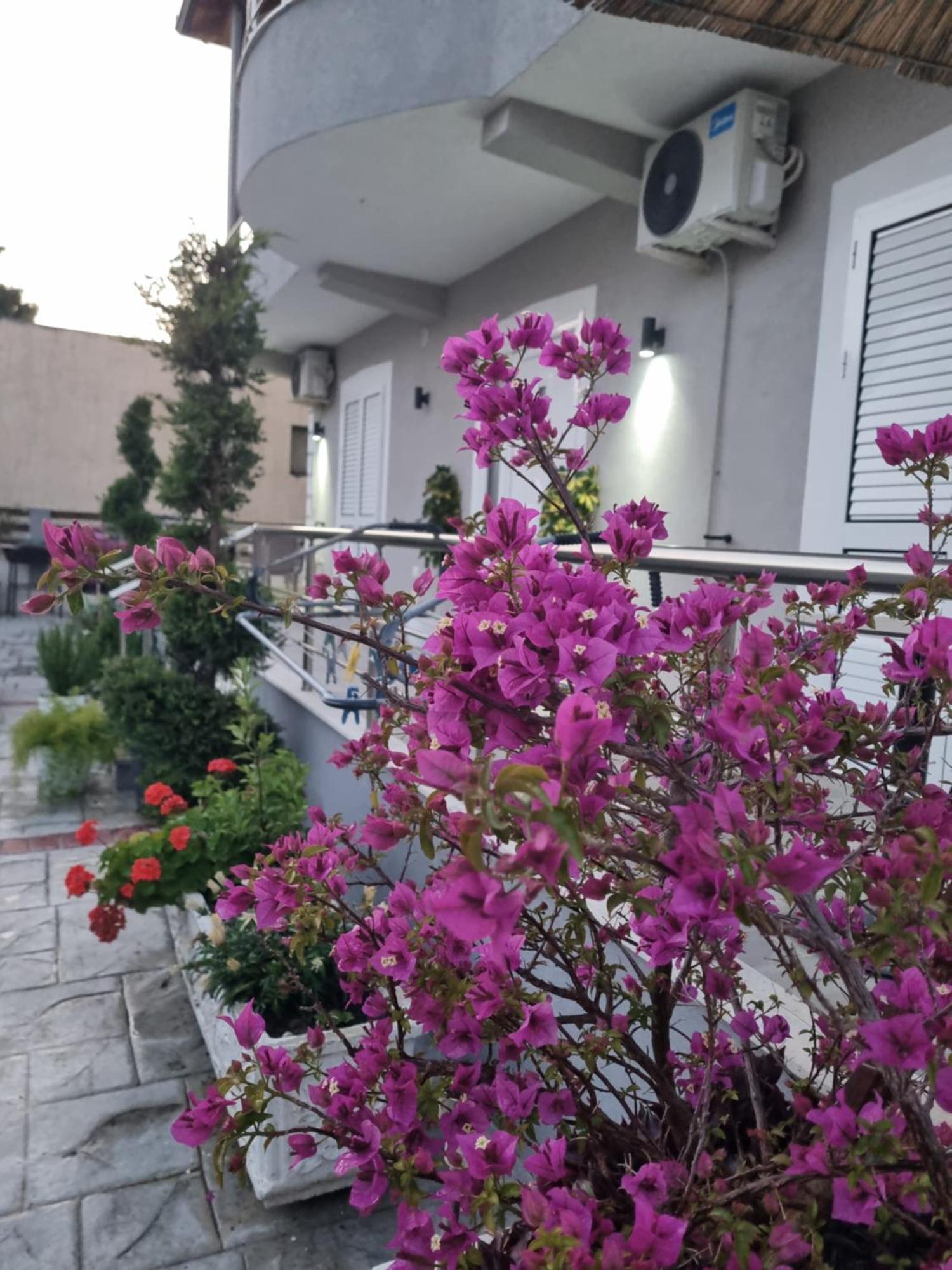 Vila Soleil Vlorë エクステリア 写真